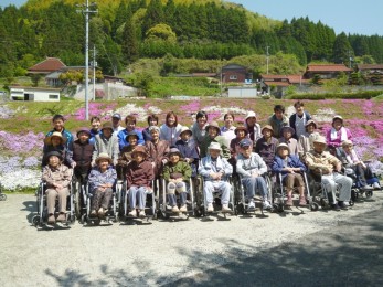 大道理芝桜